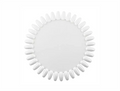 SHILLS PROFESSIONAL NAIL ART PRACTICE WHEEL