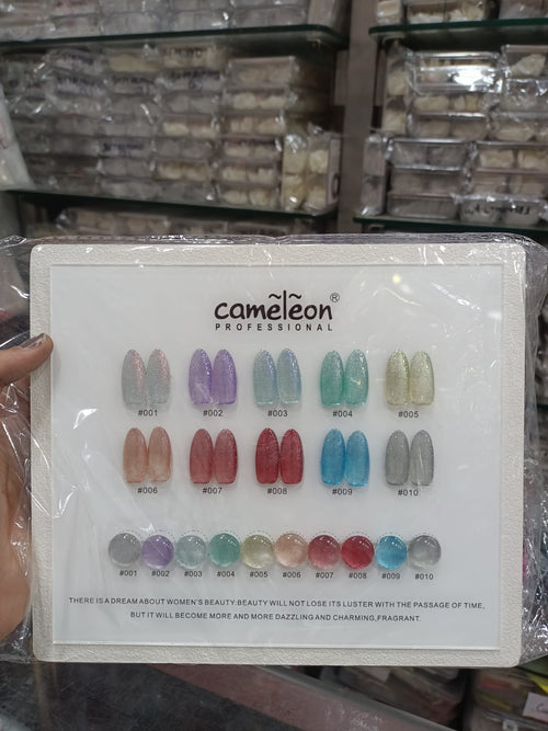 CAMELEON SILK CAT EYE 10PCS SET (K11)