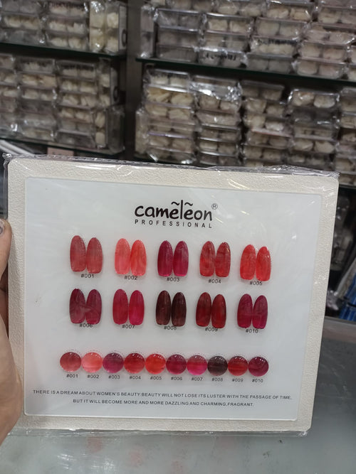 CAMELEON SILK CAT EYE 10PCS SET (K13)